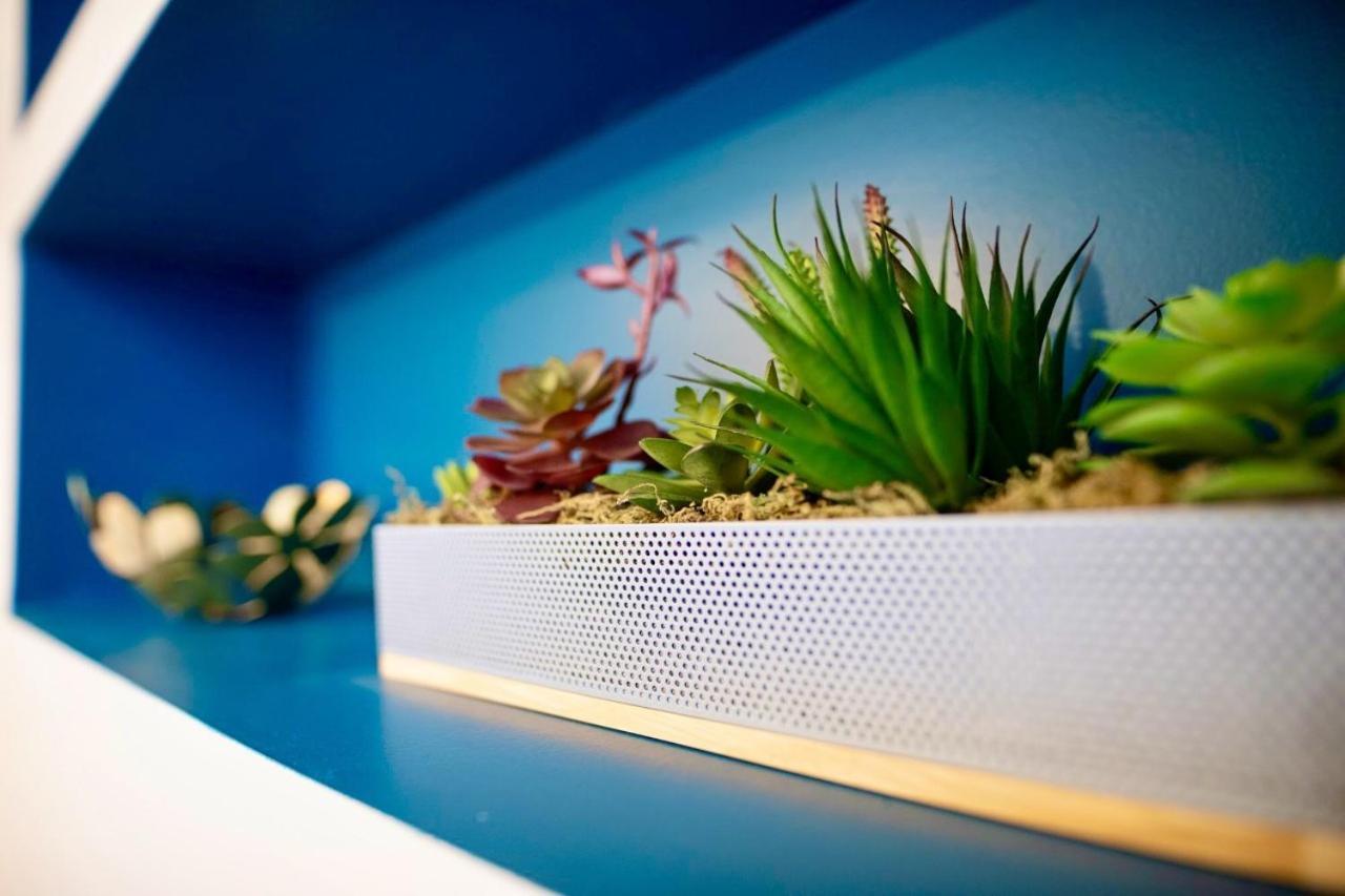 Tiny Stud Apartment Pau